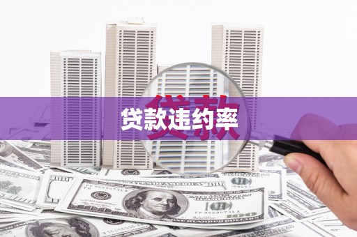 成县贷款违约率