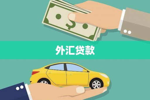 成县外汇贷款