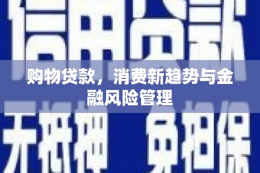 成县购物贷款，消费新趋势与金融风险管理