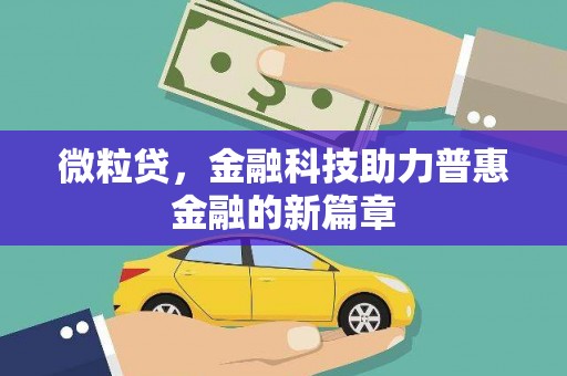 成县微粒贷，金融科技助力普惠金融的新篇章