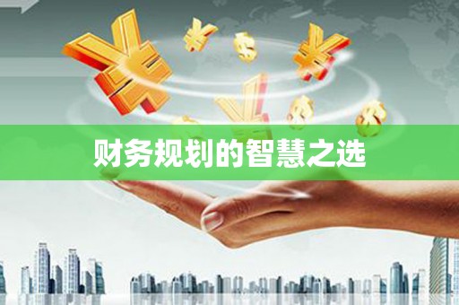 成县财务规划的智慧之选