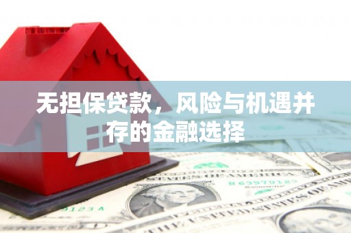 成县无担保贷款，风险与机遇并存的金融选择