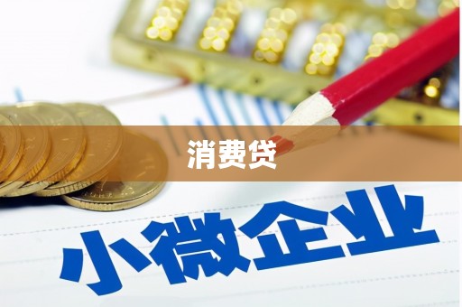 成县消费贷