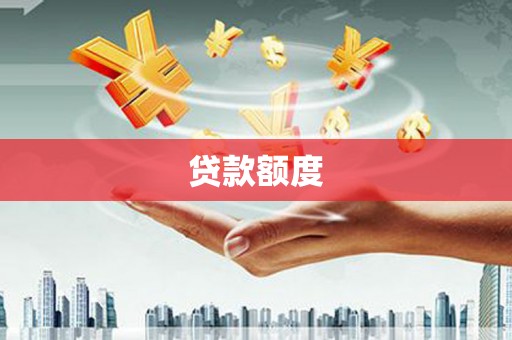 成县贷款额度