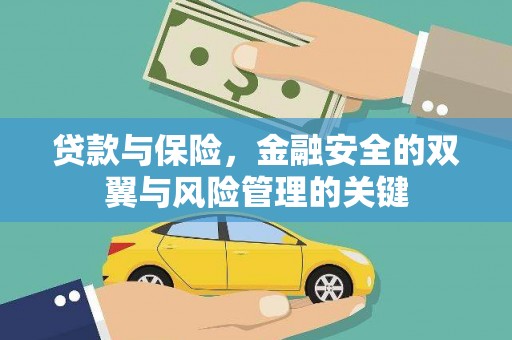 成县贷款与保险，金融安全的双翼与风险管理的关键