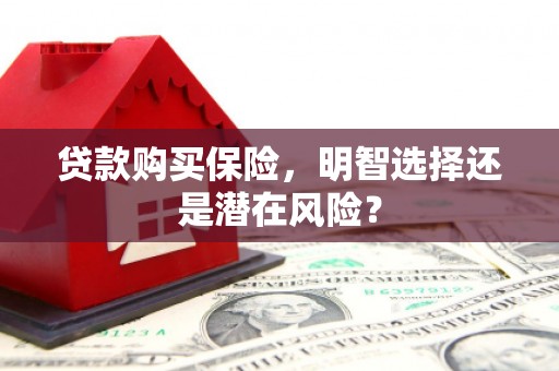 成县贷款购买保险，明智选择还是潜在风险？