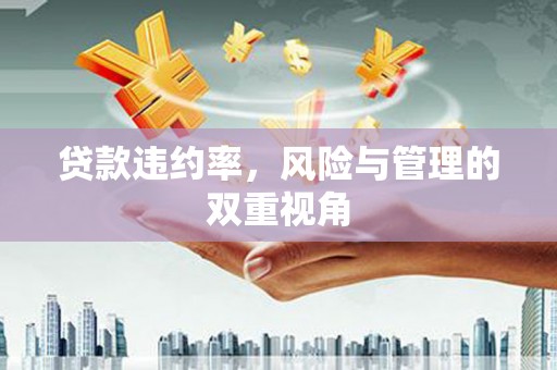 成县贷款违约率，风险与管理的双重视角