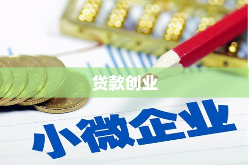 成县贷款创业