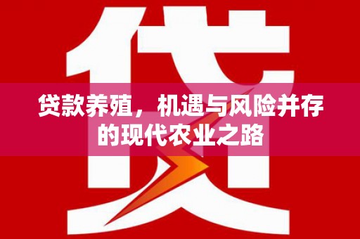 成县贷款养殖，机遇与风险并存的现代农业之路
