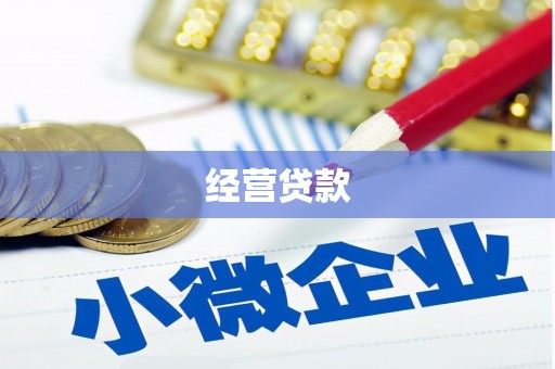 成县经营贷款
