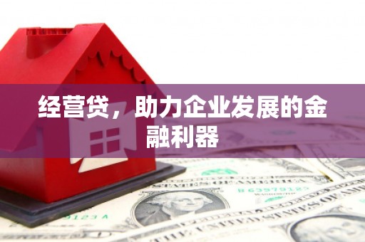 成县经营贷，助力企业发展的金融利器