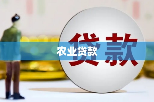 成县农业贷款