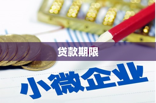 成县贷款期限