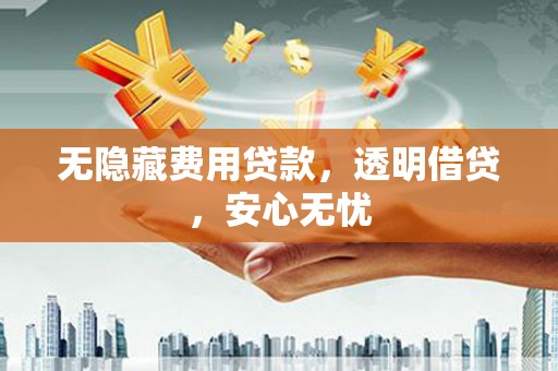 成县无隐藏费用贷款，透明借贷，安心无忧