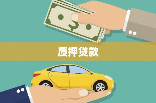 成县质押贷款