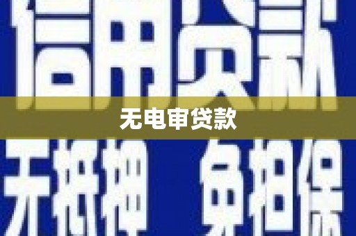 成县无电审贷款