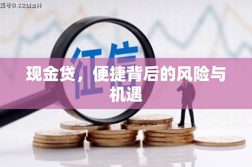 成县现金贷，便捷背后的风险与机遇