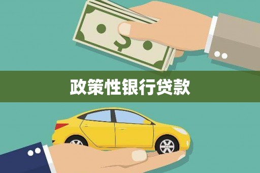 成县政策性银行贷款