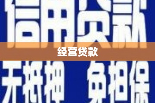 成县经营贷款