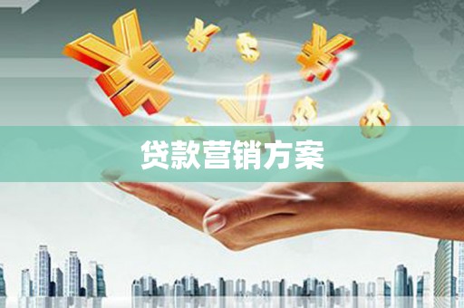 成县贷款营销方案