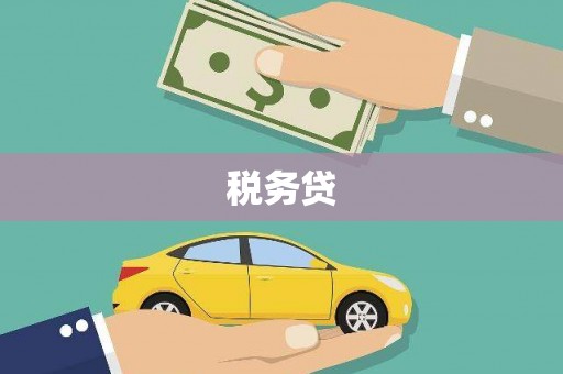 成县税务贷