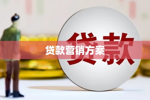 成县贷款营销方案