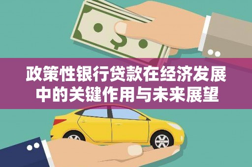 成县政策性银行贷款在经济发展中的关键作用与未来展望