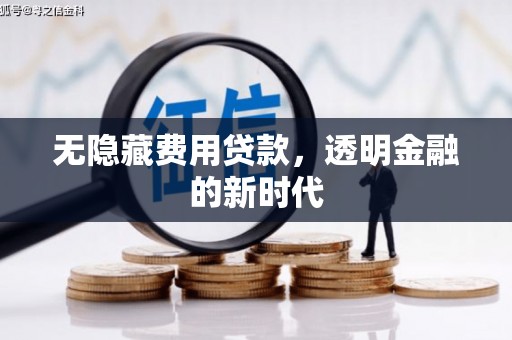 成县无隐藏费用贷款，透明金融的新时代