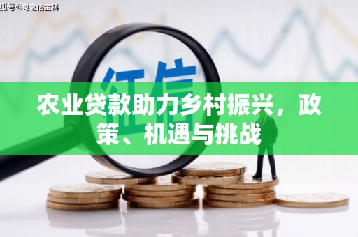 成县农业贷款助力乡村振兴，政策、机遇与挑战