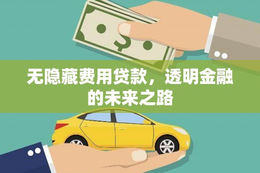 成县无隐藏费用贷款，透明金融的未来之路