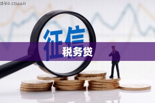 成县税务贷