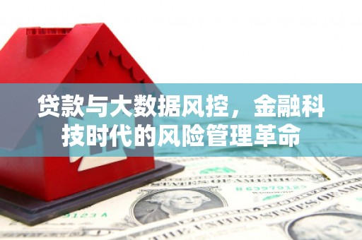 成县贷款与大数据风控，金融科技时代的风险管理革命
