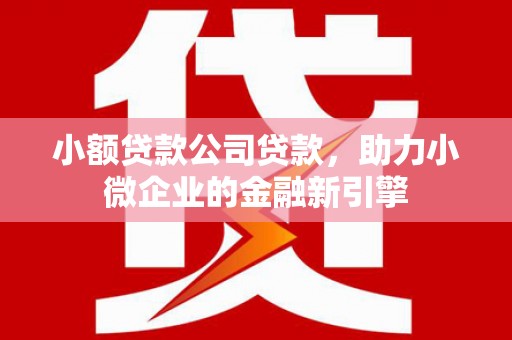 成县小额贷款公司贷款，助力小微企业的金融新引擎
