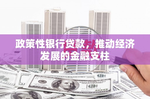 成县政策性银行贷款，推动经济发展的金融支柱
