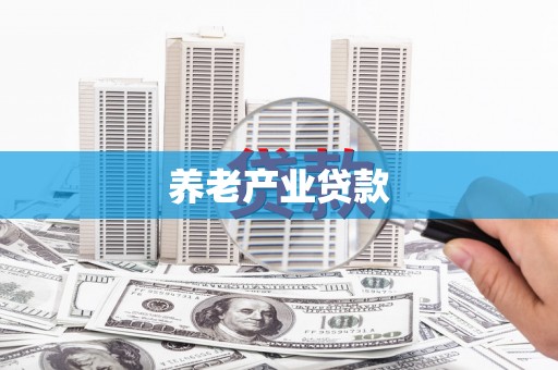 成县养老产业贷款