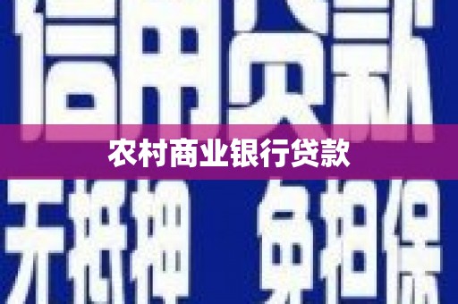 成县农村商业银行贷款