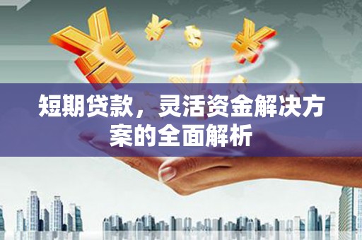 成县短期贷款，灵活资金解决方案的全面解析