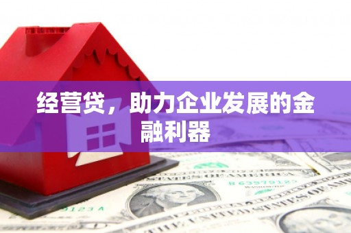 成县经营贷，助力企业发展的金融利器