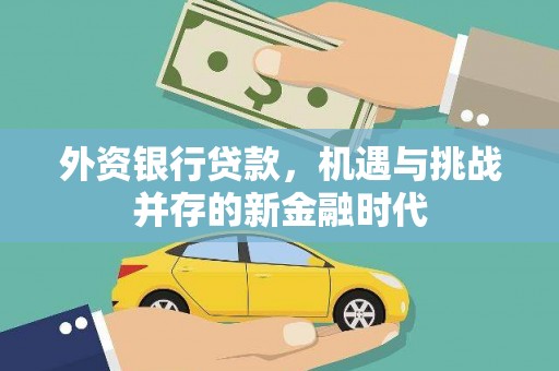 成县外资银行贷款，机遇与挑战并存的新金融时代