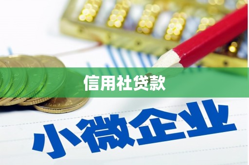 成县信用社贷款