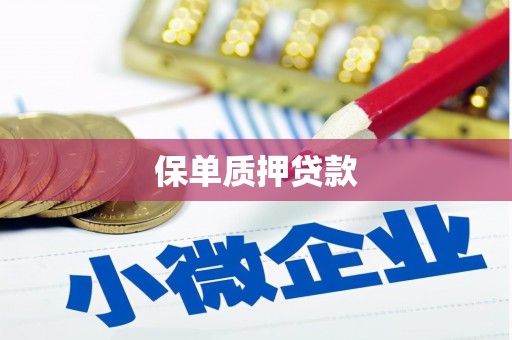 成县保单质押贷款