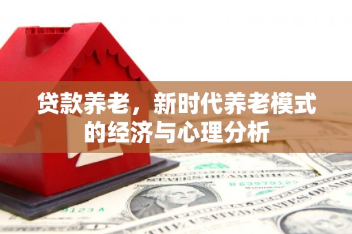 成县贷款养老，新时代养老模式的经济与心理分析