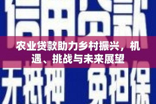 成县农业贷款助力乡村振兴，机遇、挑战与未来展望