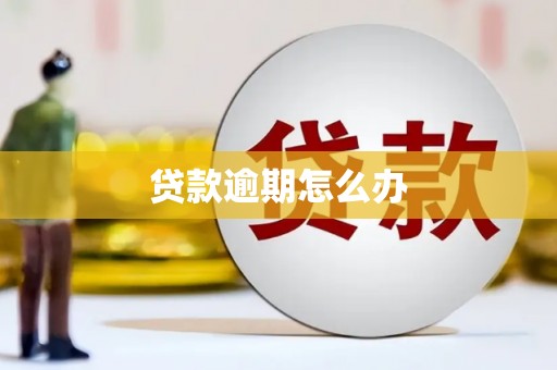 成县贷款逾期怎么办