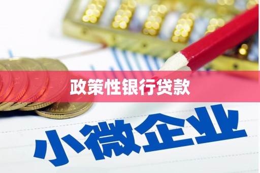 成县政策性银行贷款