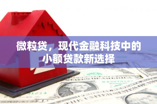成县微粒贷，现代金融科技中的小额贷款新选择