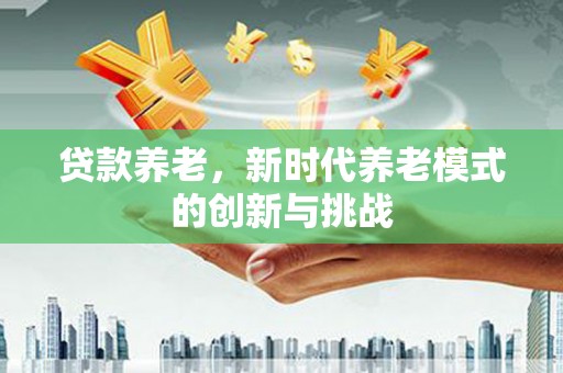 成县贷款养老，新时代养老模式的创新与挑战