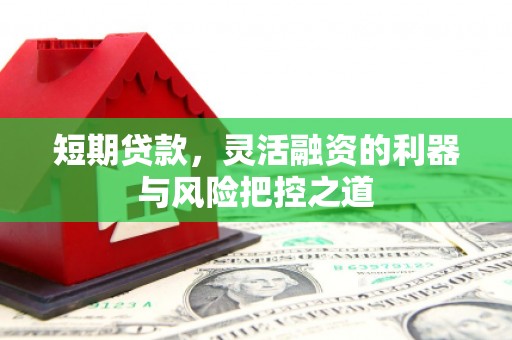 成县短期贷款，灵活融资的利器与风险把控之道