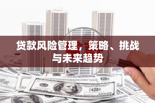 成县贷款风险管理，策略、挑战与未来趋势