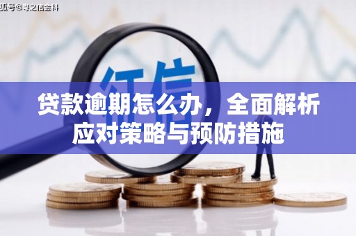 成县贷款逾期怎么办，全面解析应对策略与预防措施